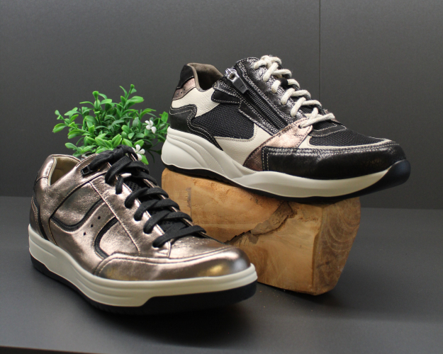 Daelenbroeck Schoenen