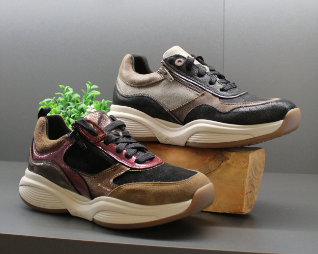 Daelenbroeck Schoenen
