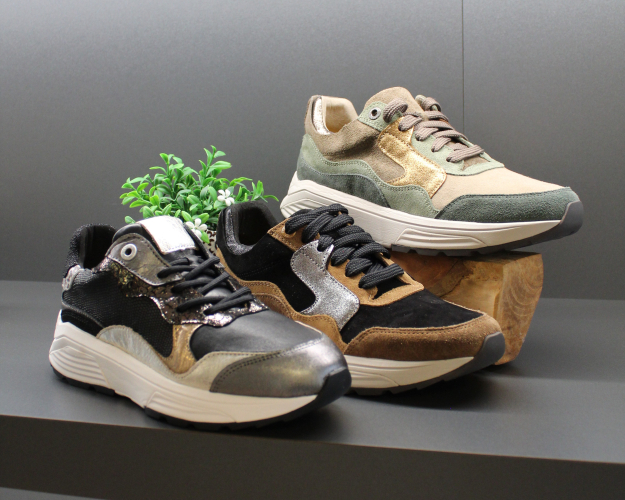 Daelenbroeck Schoenen