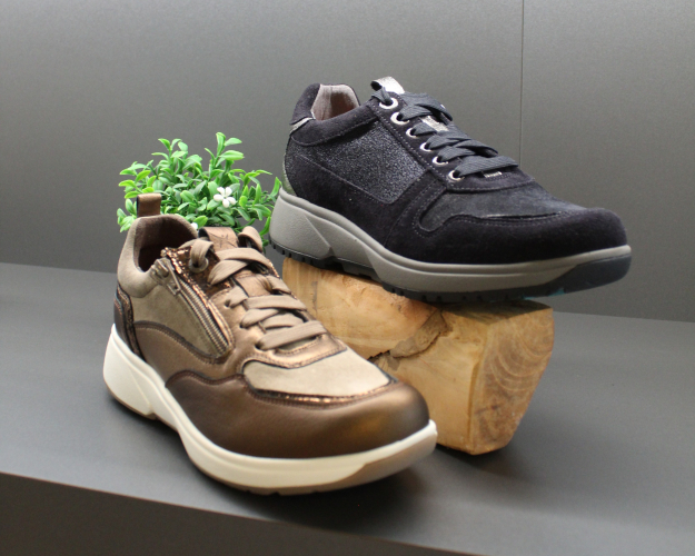 Daelenbroeck Schoenen