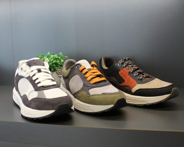 Daelenbroeck Schoenen
