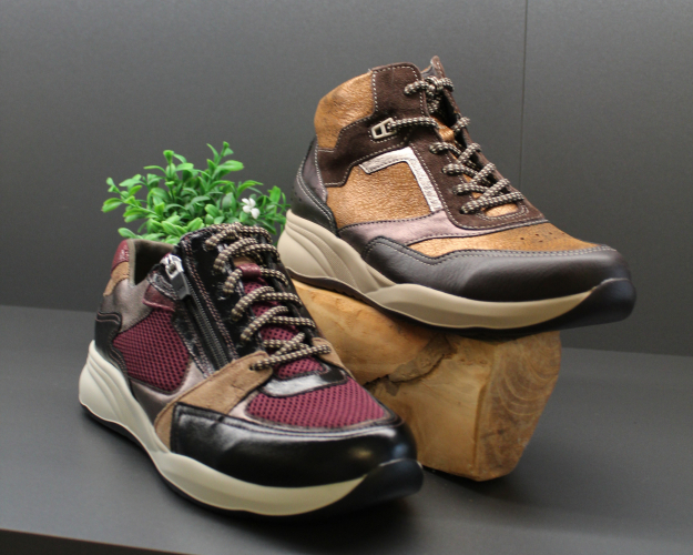 Daelenbroeck Schoenen